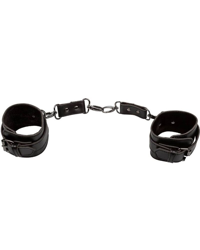 CALEXOTICS - EUPHORIA POLSINI