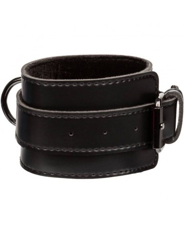 CALEXOTICS - EUPHORIA POLSINI