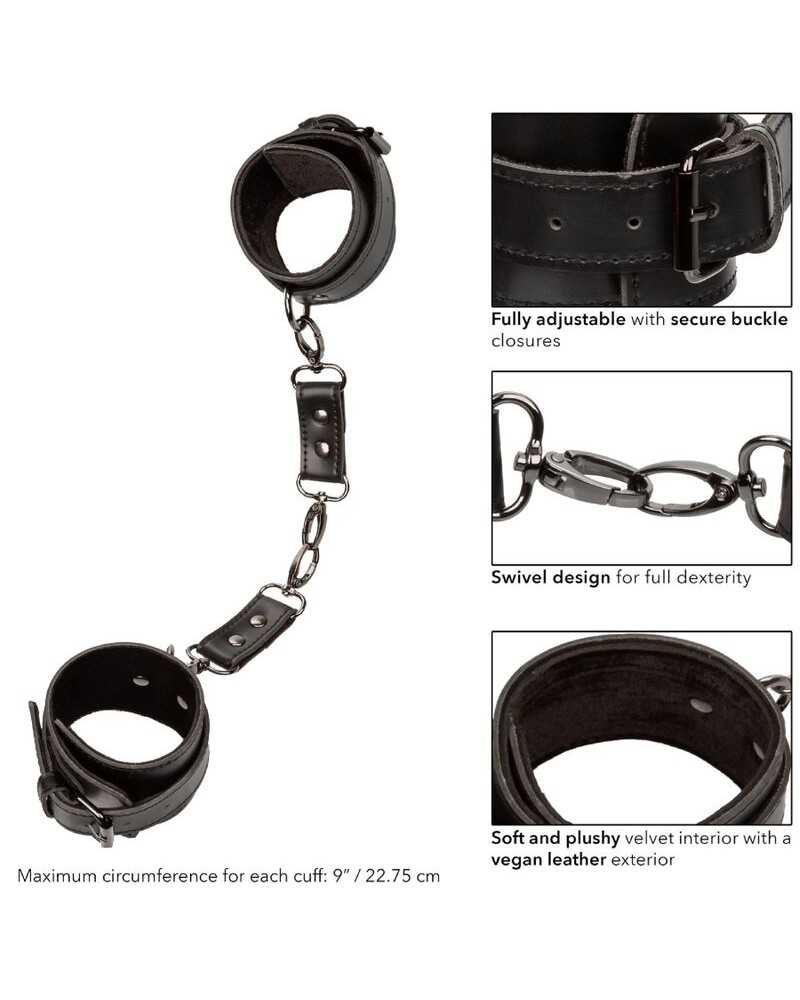 CALEXOTICS - EUPHORIA POLSINI