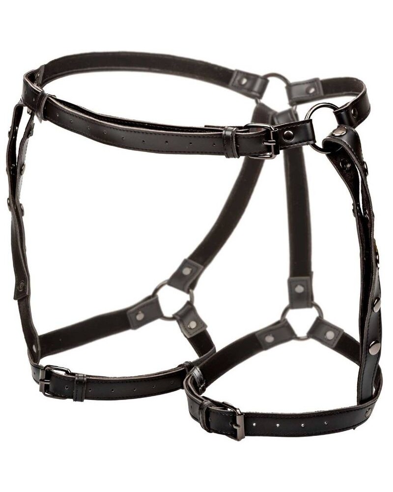 CALEXOTICS - EUPHORIA EQUITAZIONE COSCIA