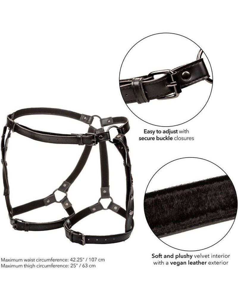 CALEXOTICS - EUPHORIA EQUITAZIONE COSCIA