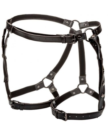 CALEXOTICS - EUPHORIA PETTORINA DA EQUITAZIONE PLUS TAGLIA