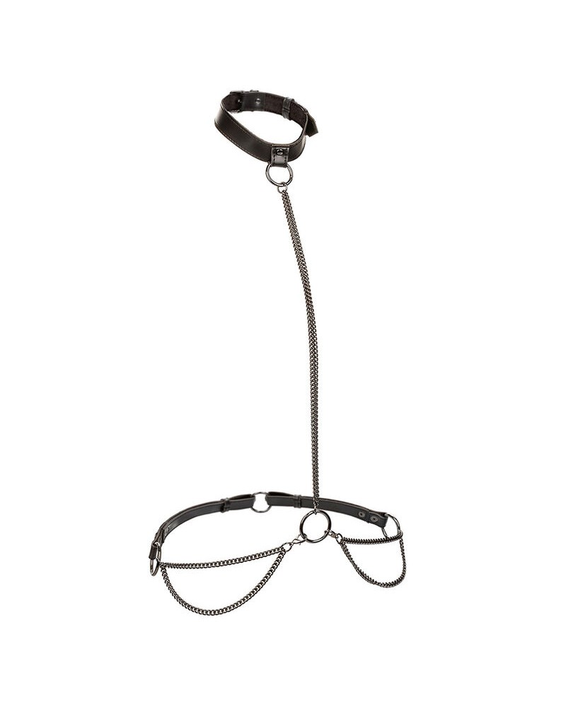 CALEXOTICS - EUPHORIA COLLARE A CATENA E GUINZAGLIO