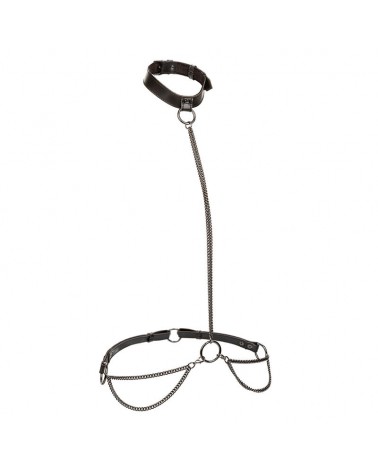 CALEXOTICS - EUPHORIA COLLARE A CATENA E GUINZAGLIO