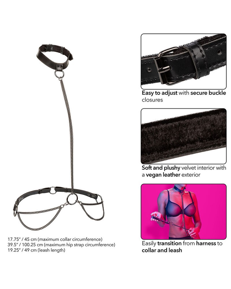 CALEXOTICS - EUPHORIA COLLARE A CATENA E GUINZAGLIO