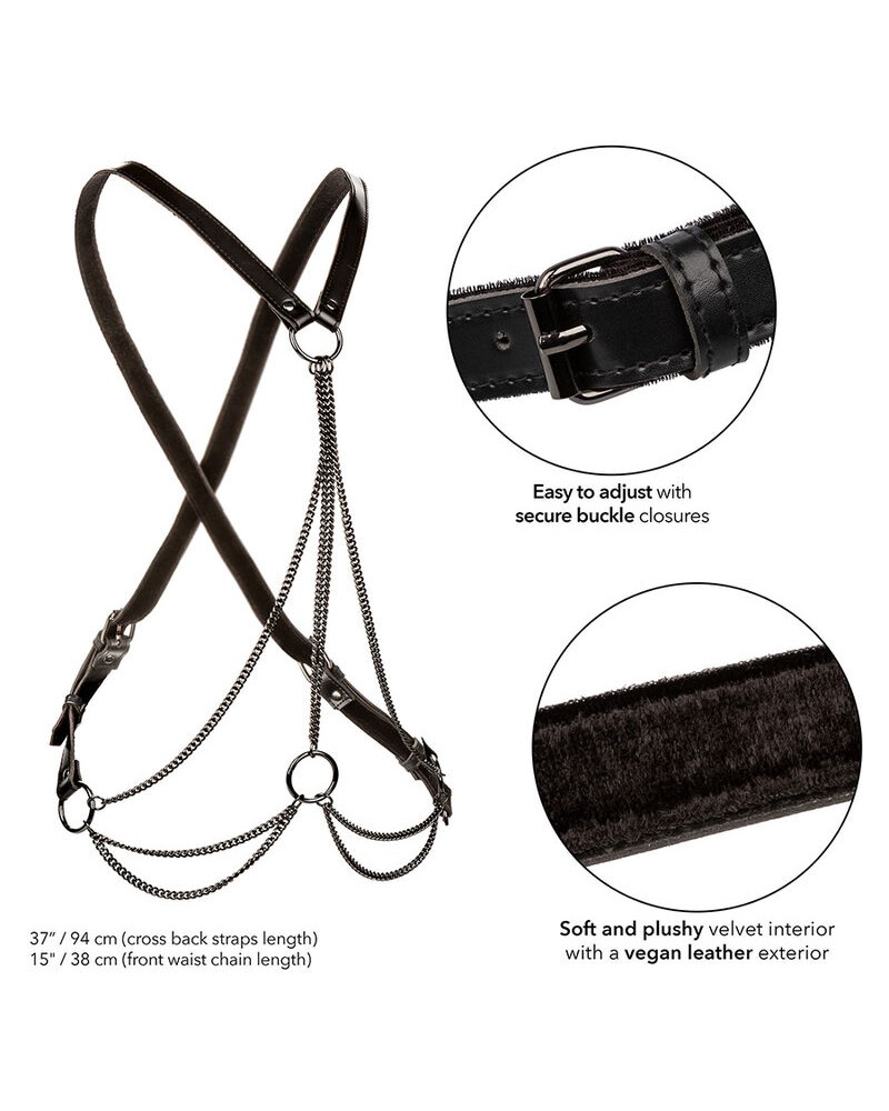 CALEXOTICS - EUPHORIA MULTICHAIN HARNESS PREMIUM