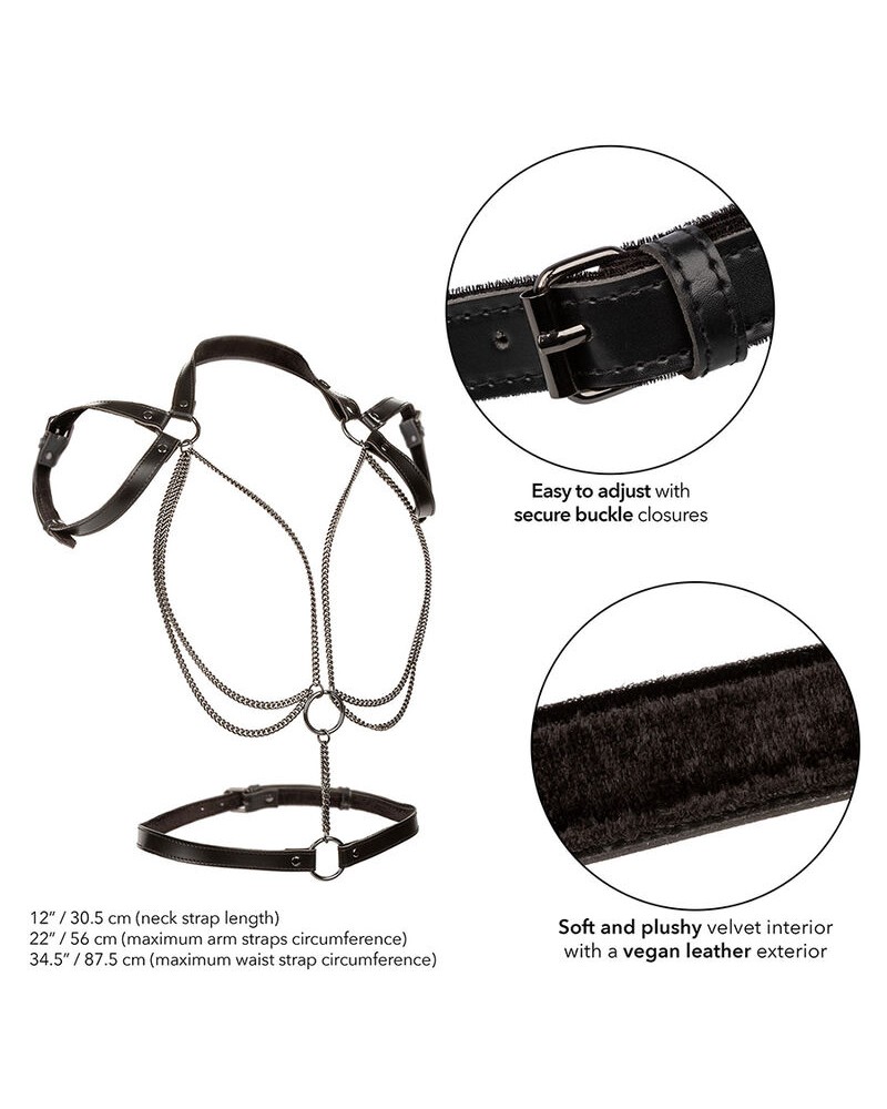 CALEXOTICS - EUPHORIA MULTICHAIN HALTER HARNESS PREMIUM