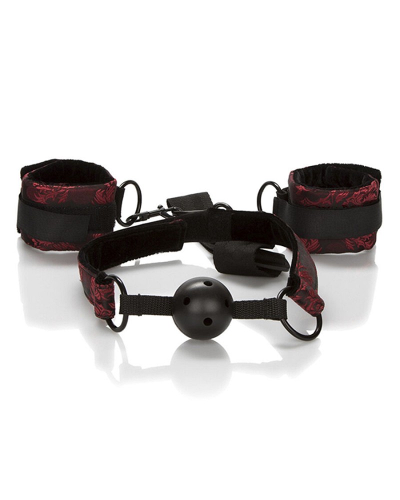 CALEXOTICS - SCANDAL BALL GAG TRASPIRANTE CON MANETTE