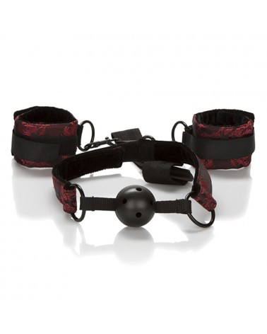 CALEXOTICS - SCANDAL BALL GAG TRASPIRANTE CON MANETTE
