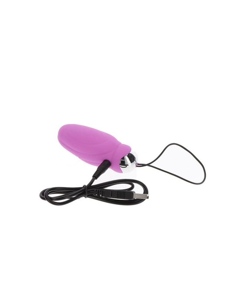 TOYJOY - VIBRATORE ROSA CON TELECOMANDO PER LA FELICITÀ CHE MI FAI CREPUSCOLARE