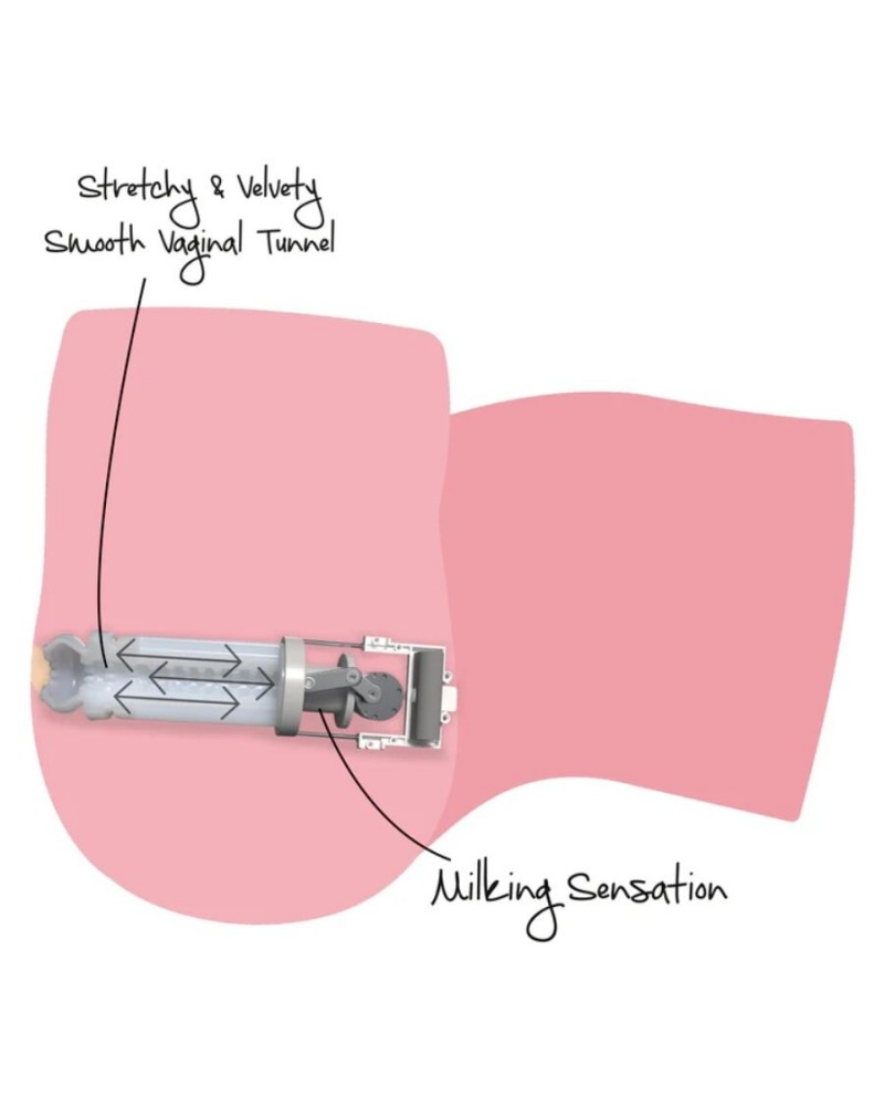 DESIDERIO NASCOSTO - MASTURBATORE FEMMINILE CON GRANDE CULO DA MUNGITURA 16 KG