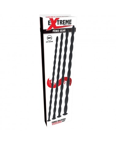 HIDDEN DESIRE - EXTREME ADVANCED SET DI DILATATORI URETRALI 4 UNITÀ