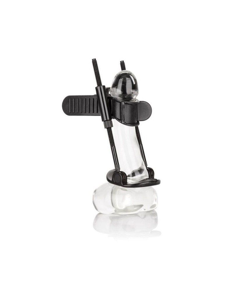 CALEXOTICS - ESTENSORE DEL PENE