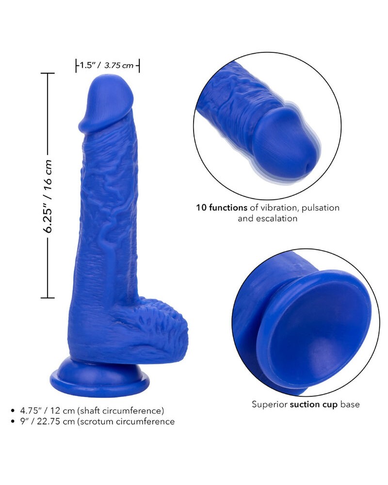 CALEXOTICS - ADMIRAL VIBRATORE DILDO REALISTICO SAILOR BLU