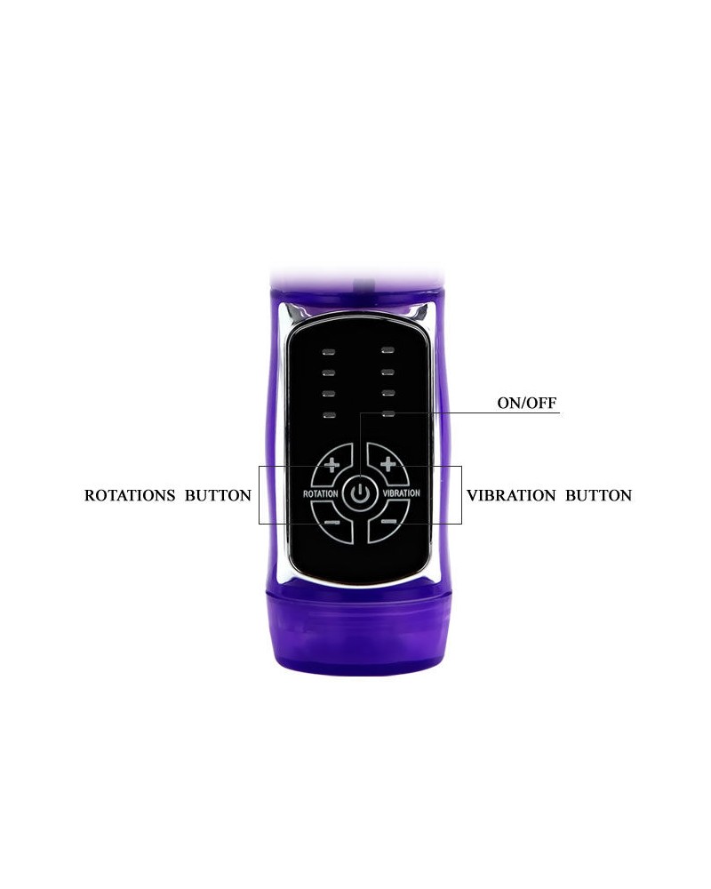 BAILE - US CONIGLIO PRINCIPE DELLA FARFALLA