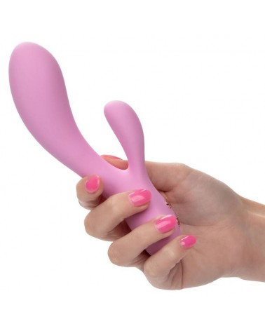 CALEXOTICS - CONTOUR ZOIE ROSA