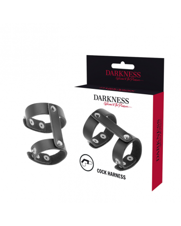 DARKNESS - ANELLO REGOLABILE PER PENE E TESTICOLI IN PELLE 2