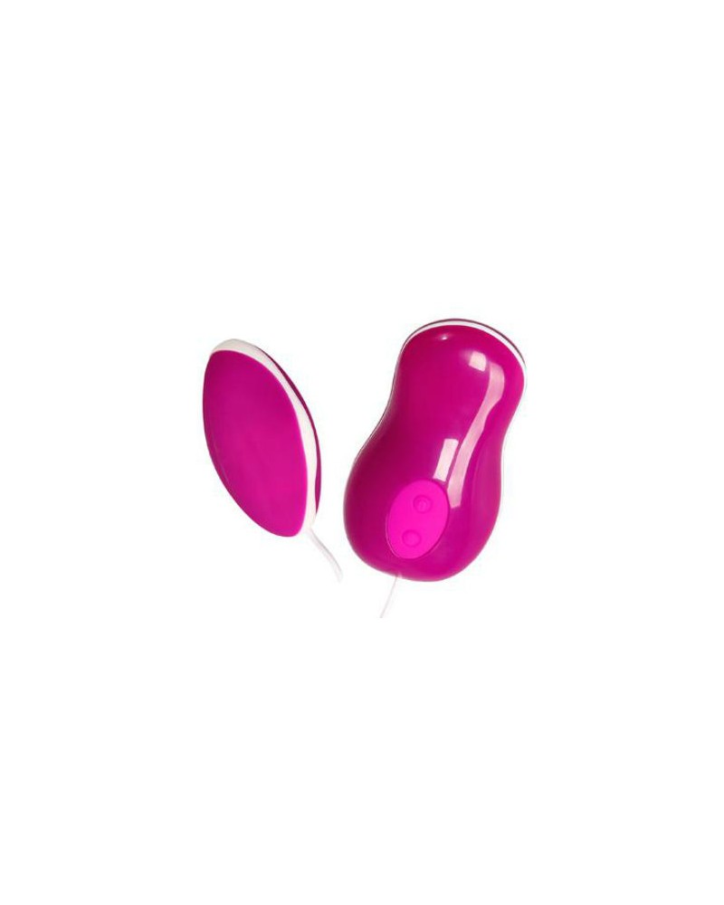 PRETTY LOVE - FLIRTATION UOVO VIBRANTE CON TELECOMANDO - AVERY