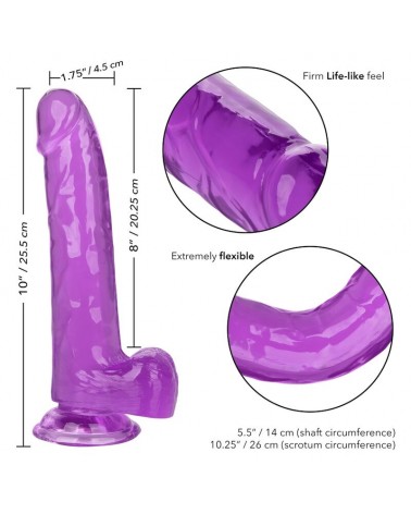 CALEXOTICS - DILDO REGINA TAGLIA VIOLA 20.3 CM