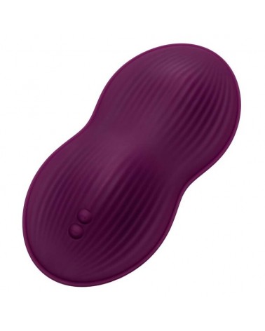 CALEXOTICS - TELECOMANDO DUAL RIDER