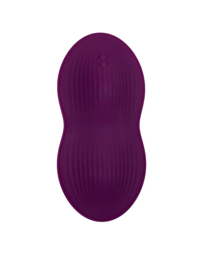 CALEXOTICS - TELECOMANDO DUAL RIDER