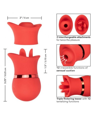 CALEXOTICS - SET FRENCH KISS SUCCHIA E GIOCA