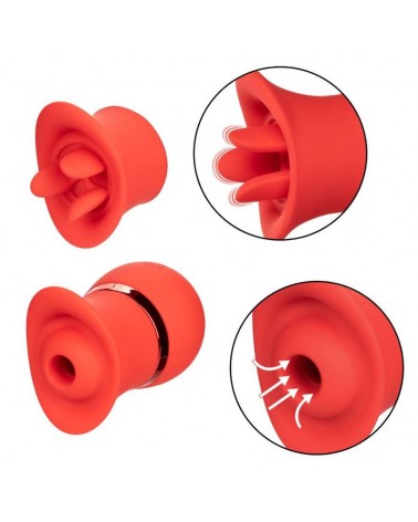 CALEXOTICS - SET FRENCH KISS SUCCHIA E GIOCA