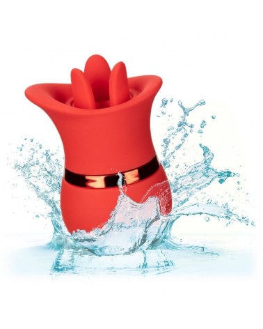 CALEXOTICS - SET FRENCH KISS SUCCHIA E GIOCA