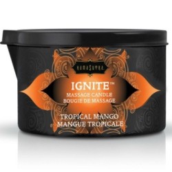 KAMASUTRA - CANDELA DA MASSAGGIO KAMASUTRA - MANICO TROPICALE 170 GR 2