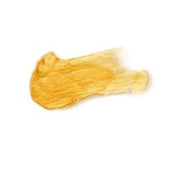 SECRETPLAY - BUSTINA DI OLIO PER IL CORPO BELLA MA SELVAGGIA 2